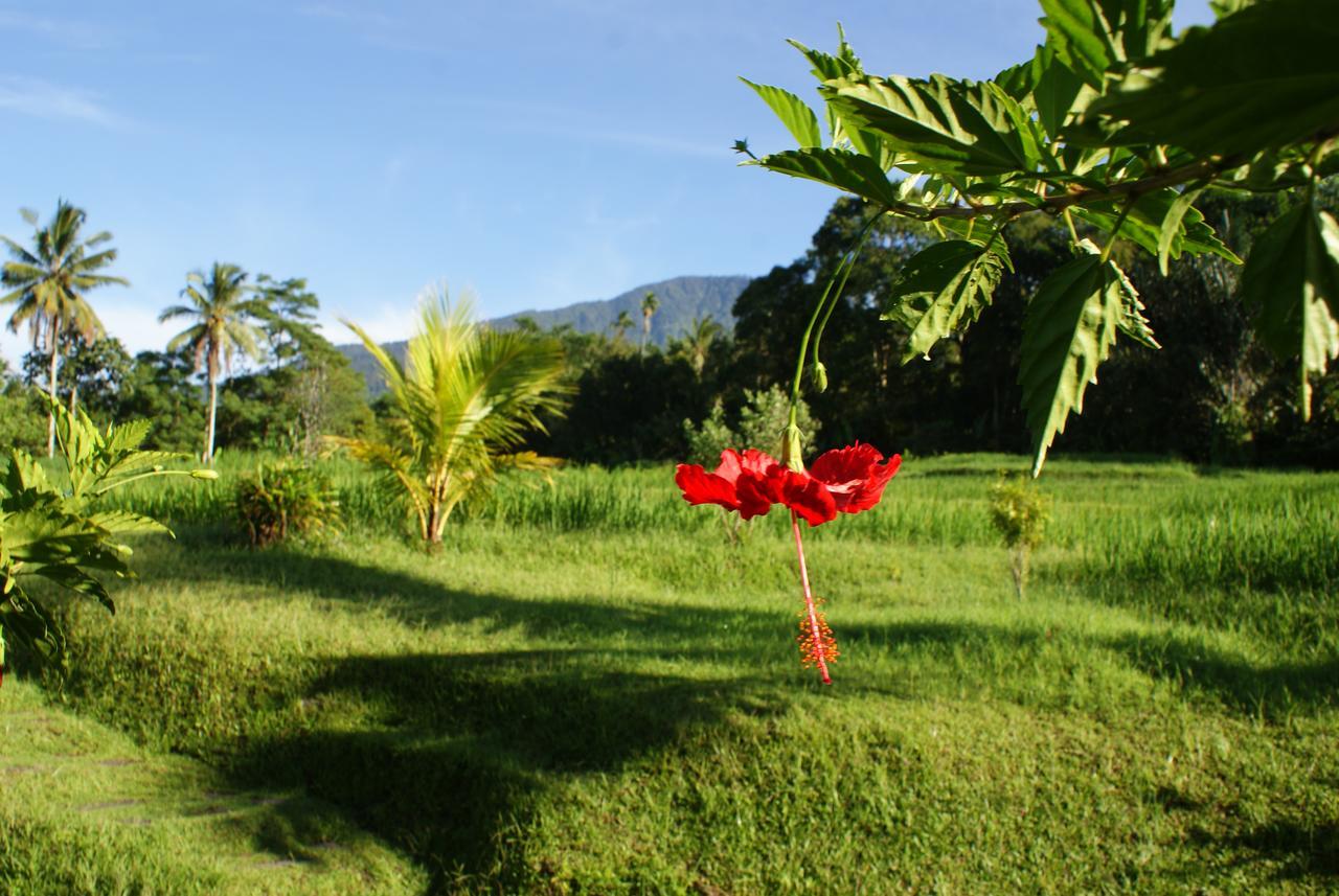Prana Dewi Mountain Resort Jatiluwih Εξωτερικό φωτογραφία
