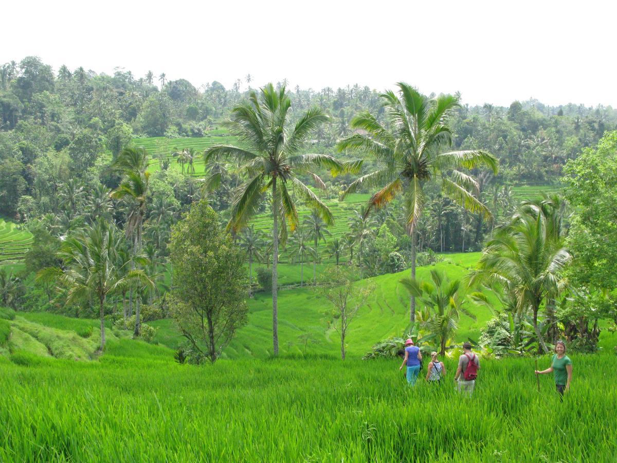 Prana Dewi Mountain Resort Jatiluwih Εξωτερικό φωτογραφία