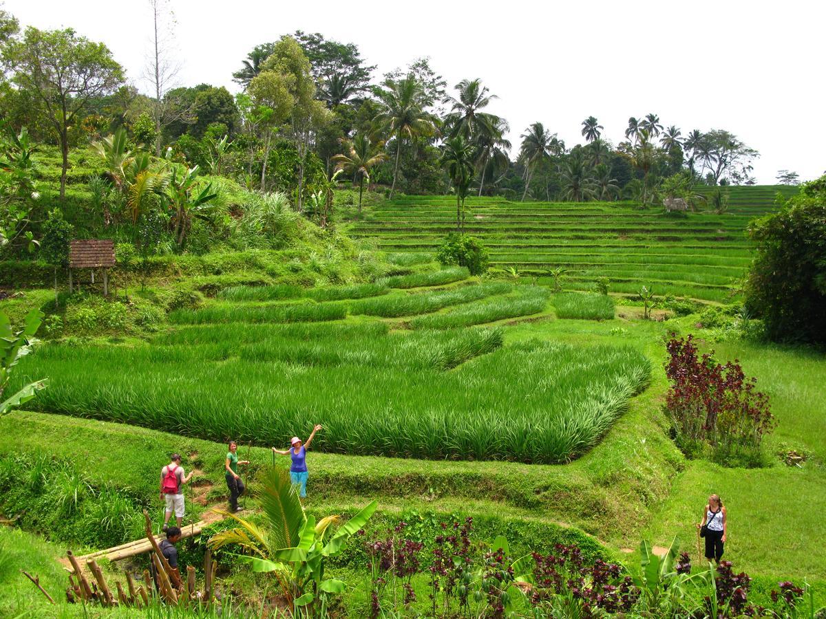 Prana Dewi Mountain Resort Jatiluwih Εξωτερικό φωτογραφία