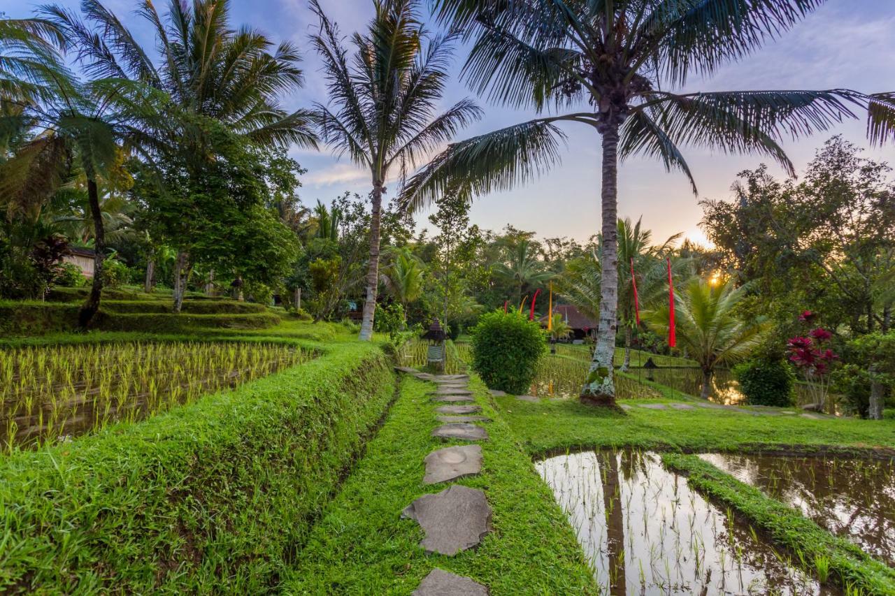 Prana Dewi Mountain Resort Jatiluwih Εξωτερικό φωτογραφία