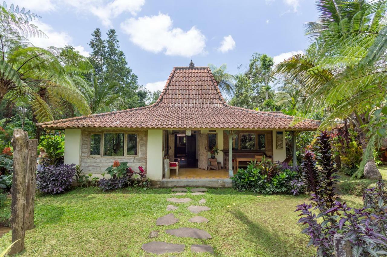 Prana Dewi Mountain Resort Jatiluwih Εξωτερικό φωτογραφία